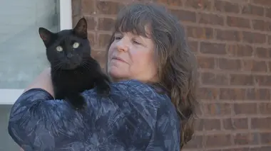 Un chat sur la piste et une robe de défilé