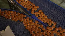 Visuel de Inside Burger King : dans les coulisses d'un géant de la restauration rapide