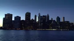 Inside : l'univers des drogues  Les vrais loups de Wall Street