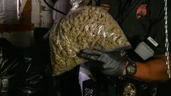 Inside: L'univers des drogues S06E00 Les opérations spéciales