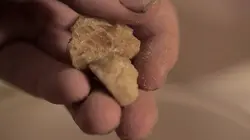 Inside : l'univers des drogues Les infiltrés