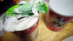 Inside : l'univers des drogues  Les vrais loups de Wall Street