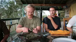 Inside : l'univers des drogues Crystal hawaïen