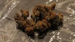 Inside : l'univers des drogues Monarchie narcotique