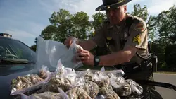 Inside : l'univers des drogues Les pêcheurs de Salt Lake City