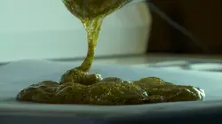 Inside : l'univers des drogues Nouvel an psychédélique