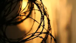 Inside : l'univers des drogues Guantanamo