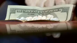 Inside : l'univers des drogues  Les vrais loups de Wall Street