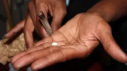 Inside : l'univers des drogues Boston Weed Party