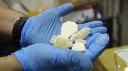 Inside : l'univers des drogues Nouvel an psychédélique