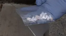 Inside : l'univers des drogues Les cartels