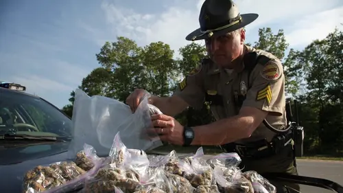 Inside : l'univers des drogues Les pêcheurs de Salt Lake City