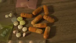 Inside : l'univers des drogues Dope-Landia