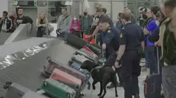 Inside Sydney Airport