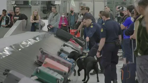 Inside Sydney Airport Les temps d'essai