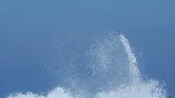 Visuel de Inside the Monster