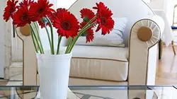 Visuel de Inspiration design