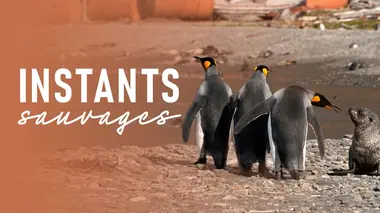 Rencontres inattendues