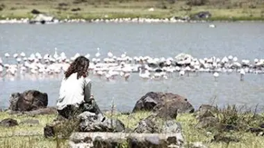 Tanzanie : sur les traces des derniers chimpanzés