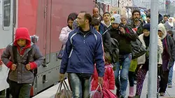 Intégration : les raisons du succès