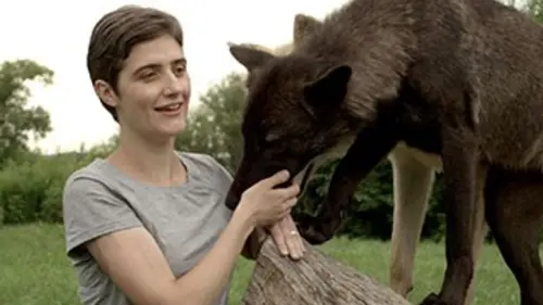 Intelligence animale E02 Voir le monde