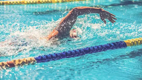 International Swimming League