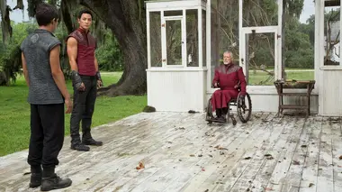 La cigogne ouvre ses ailes