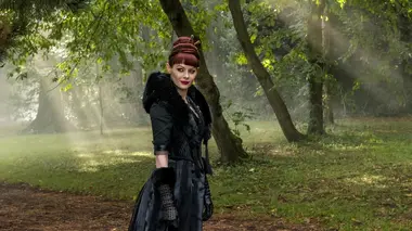 La paume du renard d'acier