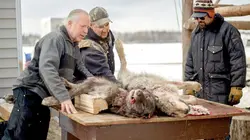 Into The Wild : Alaska  Blizzard bizarre