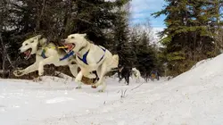 Into The Wild : Alaska  Première course de la saison