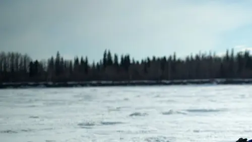 Into The Wild : Alaska Vivre sur la sellette