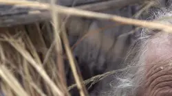 Into The Wild : Alaska Tapis !