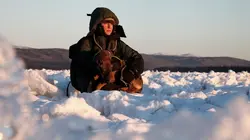 Into The Wild : Alaska  A court de provisions