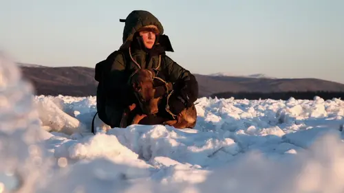 Into The Wild : Alaska A court de provisions