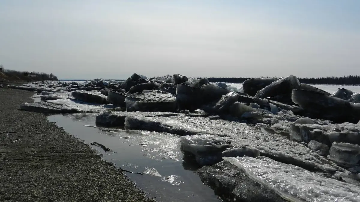 Into the Wild: Alaska S02E12 Carrefour mortel