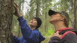 Into The Wild : Alaska Mère contre nature