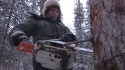 Into The Wild : Alaska La fureur de vivre