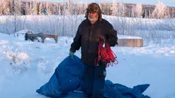 Into The Wild : Alaska Au tournant