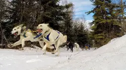 Into The Wild : Alaska