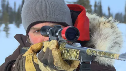 Into The Wild : Alaska Embouteillage en streaming