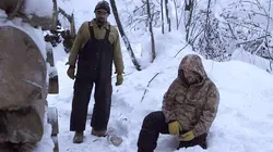 Into The Wild : Alaska