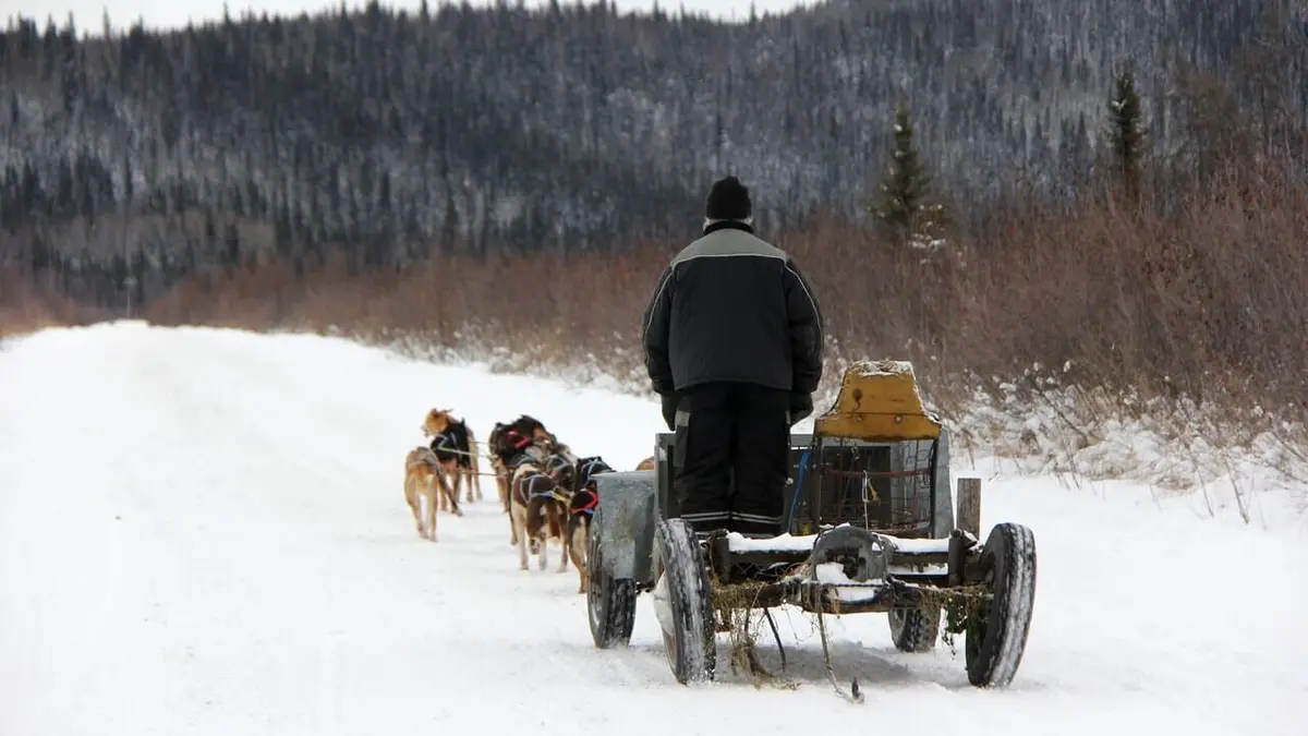 Into The Wild : Alaska Dernier tir