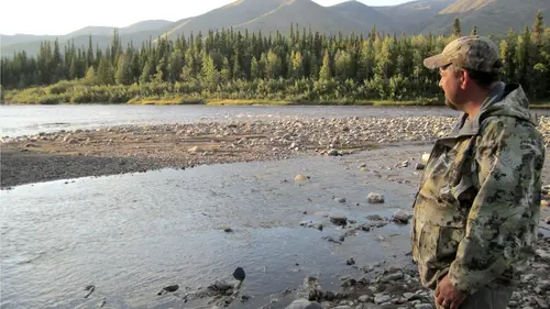 Into The Wild : Alaska