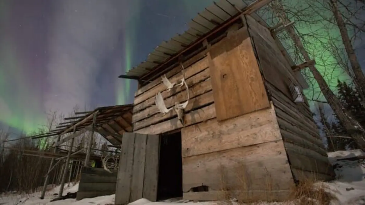 Into The Wild : Alaska Les jours sombres