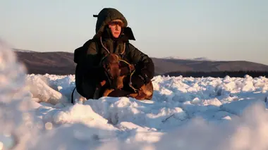 Into The Wild : Alaska A court de provisions
