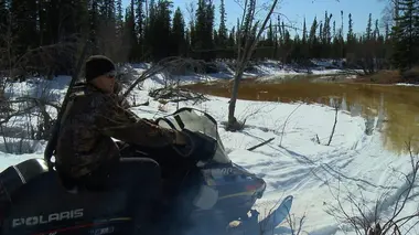 Into The Wild : Alaska Job risqué