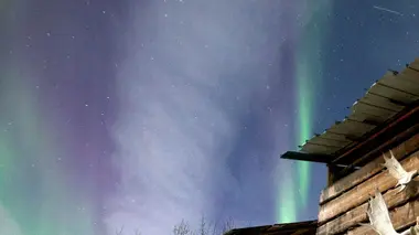 Into The Wild : Alaska Les jours sombres