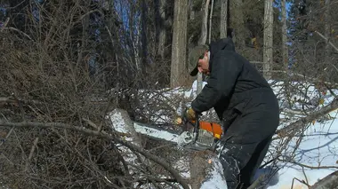 Into the Wild: Alaska S02E07 Sus aux lamproies