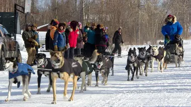 Into The Wild : Alaska Tanana au repos