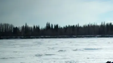 Into The Wild : Alaska Vivre sur la sellette
